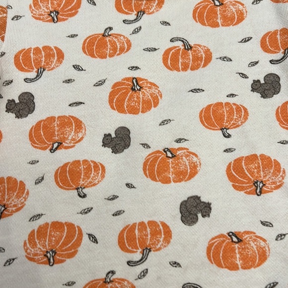 Little planet autumn pumpkin long sleeve top - Picture 4 of 6
